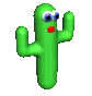 dancing cactus