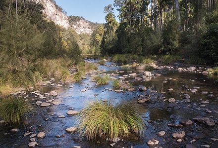 a riverbed littered with slippery rocks framed by rocky mountains.