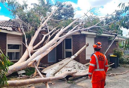 A man in an orange VICSES uniform stands beside a large tree that has fallen on a house