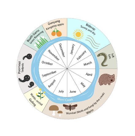 A circular diagram showing the seven seasons observed by the Wurrundjeri people of Victoria each year.