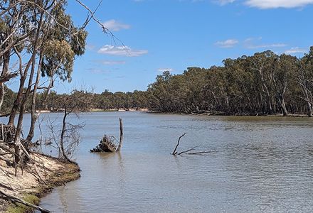 A river with snags poking out from under the water.