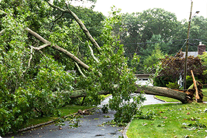 Finish this sentence visual cue