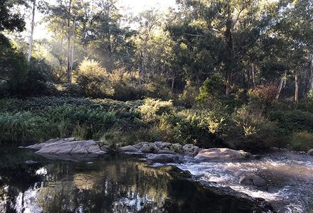Sunlight streams into a mountain river setting.